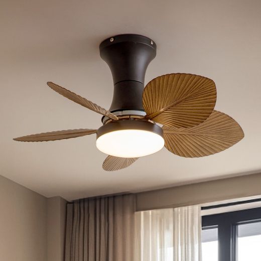 Palm-Leaf Fan Light