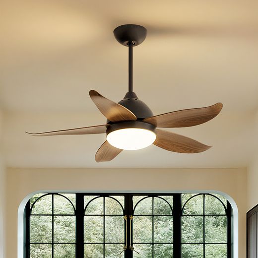 Fan Lights