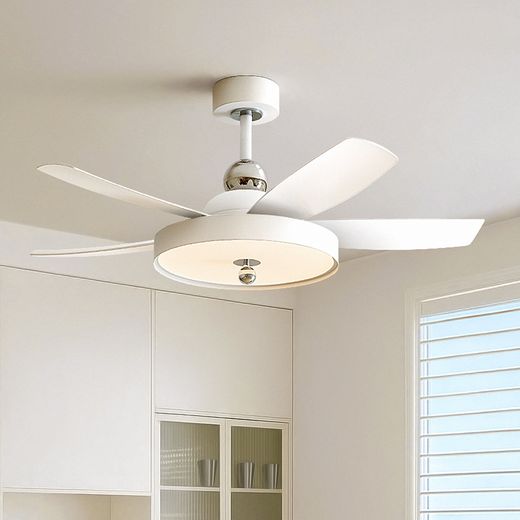 White Fan Light